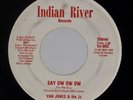 VAN JONES & THE Js: Say Ow Ow Ow / Let’s Go Disco US Indian River Soul 45 HEAR