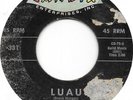 BEACH BOYS Surfin'/Luau on Candix 331 rare first surf 45 HEAR