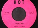 LARRY HALL: sandy HOT 7