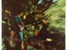 Creedence Clearwater Revival - Bayou Country LP - Fantasy SEALED