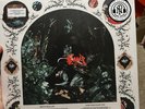 knocked loose vinyl