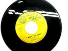 RARE The Mandells I Miss You Baby/Think Back Trans World Sound Records 222821F