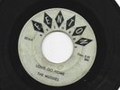 GARAGE bw/ INSTRO 45 - MUSSIES - LOUIE GO HOME /  12 OCLOCK JULY - HEAR - FENTON