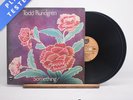 Todd Rundgren Something / Anything? A1 B3 Double LP Album Vinyl Record - VG+/VG+
