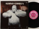 Albino Gorilla 