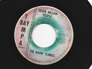 GARAGE ROCKERS 45 - ROVIN' FLAMES - SEVEN MILLION PEOPLE - HEAR - 1966 TAMPA BAY