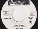FEVER TREE * Hey Mister * USA PSYCH GARAGE * 1967 USA PROMO 45 * Listen