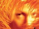 Stone Temple Pilots Shangri-La Dee Da (Limited Edition, Brick & Mortar Exclusive