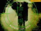 Fear Of God - Within The Veil (Vinyl LP - 1991 - EU - Reissue)