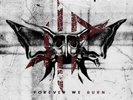 HIGH PARASITE FOREVER WE BURN NEW LP