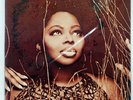 ANGIE STONE MAHOGANY SOUL J 80813200131 US VINYL 2LP