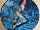 12ENVPD 22 The Cramps Creature From The Black Leather Lagoon Picture Disc