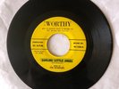 The Interiors - Darling Little Angel / Voodoo Doll 45 RPM Worthy Records 7”