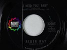 Northern Soul 45 - Alder Ray - I Need You/My Heart Is In Danger - Minit VG+