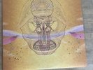 Devendra Banhart – What Will We Be 180g 2LP 2009 Warner