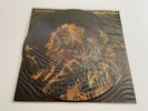 Iron Maiden Hallowed Be They Name Picture Disc 12