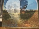 Neil Young Dreamin Man Live 92  Vinyl LP