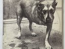 Alice In Chains Self-Titled Vinyl LP (1995) 1st Press Original See Pictures/Info