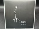 Arctic Monkeys My Propeller 7