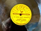 BLUES SAMMY LEWIS-WILLIE JOHNSON SUN 216 I Feel So Worried/So Long Baby EE+