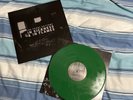 The Front Bottoms – In Sickness & In Flames Vinyl Evergreen