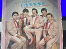 Los Caminantes-“Guanajuato...para America -33 RPM Luna Records