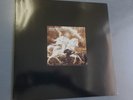 Green Army Fraction – Caste W -  LP' -  industrial
