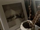 SIGNED Taylor Swift The Tortured Poets Department on Vinyl