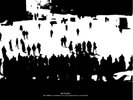 McLusky - The Difference Between Me and You Is That I'm Not On Fire [New Vinyl L