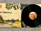 Albert Hammond Jr - Yours To Keep vinyl LP record RARE and OOP rsd the strokes