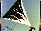 DJ Shadow- The Mountain Will Fall, Autograph/Signed OG 1st Press, Run the Jewels