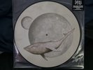 Gojira ‎– From Mars To Sirius Vinyl 2xLP - Picture Disc Limited