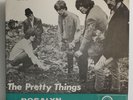 Mega RARE The Pretty Things-Rosalyn/Big Boss Man Pic sleeve SOUTH AFRICA (TF712)