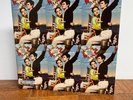 Lana Del Rey Norman Rockwell NFR Green Vinyl LP Exclusive Webstore Limited Ed.