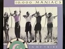 10,000 MANIACS - IN MY TRIBE MFSL MOBILE FIDELITY AUDIOPHILE LOW #422 MINT LP
