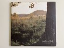 Andrew Bird / Noble Beast 2009 2x Vinyl LP Gatefold Fat Possum Played Once NM/NM