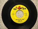 RODDIE JOY: come back baby / love hit me with a wallop RED BIRD 7