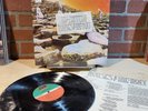 Led Zeppelin  Houses of the Holy 1973 Pressing LP in Shrink & Hype