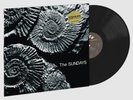 The Sundays Reading, Writing And Arithmetic LP Ltd Black Vinyl US 2024 SEALED