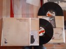 BABYSHAMBLES / Down in Albion (2005) 2 LP original press  -THE LIBERTINES