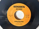 DON GARDNER “CHEATING KIND” good quality and scarce repro NORTHERN SOUL 45