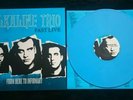ALKALINE TRIO VINYL PAST LIVE FROM HERE TO INFIRMARY LIMITED EDITION BLUE LP