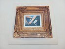 Iron and Wine Vinyl Record Album NICE Sub Pop Records Ghost on Ghost LP