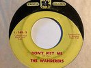 Garage 45 THE WANDERERS Don't Pity Me/Give Me All You Got Warrior RARE MT Lo-Fi