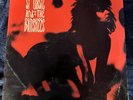 siouxsie and the banshees in a pagan place st james church 12 Inch Double Album