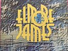 ELMORE JAMES To Know A Man LP 2xLP BLUE HORIZON S 7-63225 UK import  NM