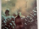 STEELY DAN Katy Lied RARE DUTCH LP Laminated Front Sleeve 33rpm 12