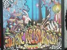 Magic Mushroom Band. Re-Hash. LP 1992