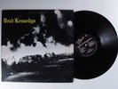 DEAD KENNEDYS Fresh Fruit For Rotting Vegetables I.R.S. LP VG+ n
