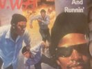 Bundle Of NWA Vinyl Hip Hop Vinyl Lp And 12” Singles Near Mint